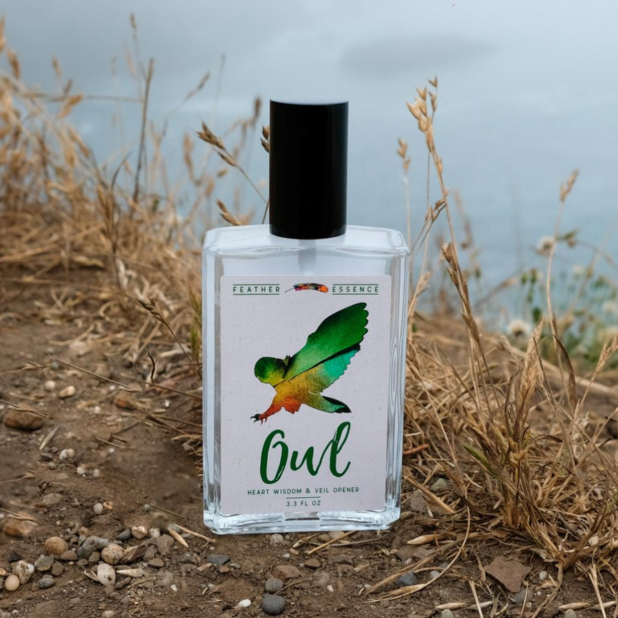 Wholesale Owl Feather Essence Spray